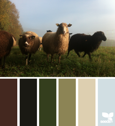 Check out this nature-inspired color palette from Design Seeds, one of my favorite color resources.